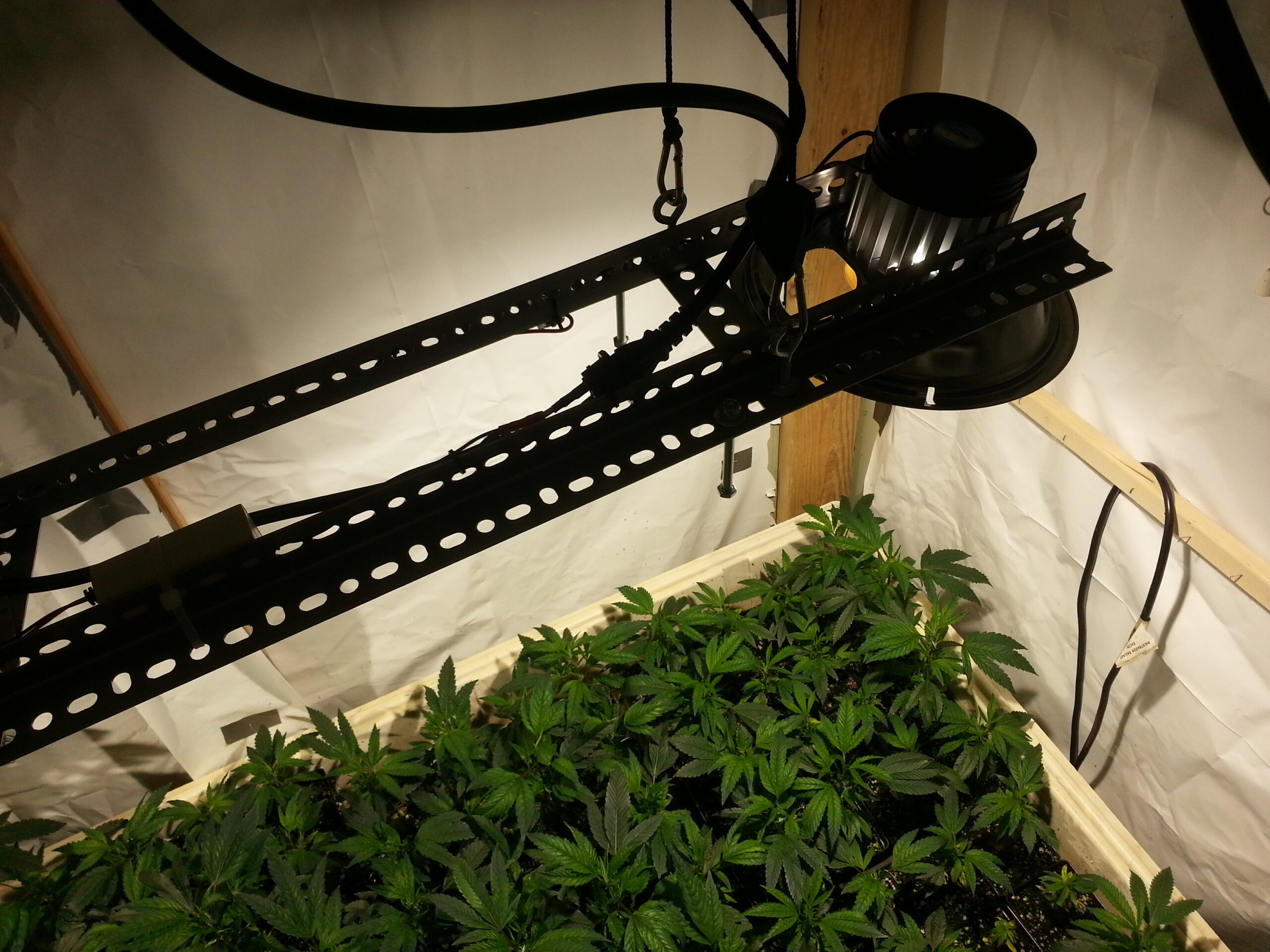 LED testing
