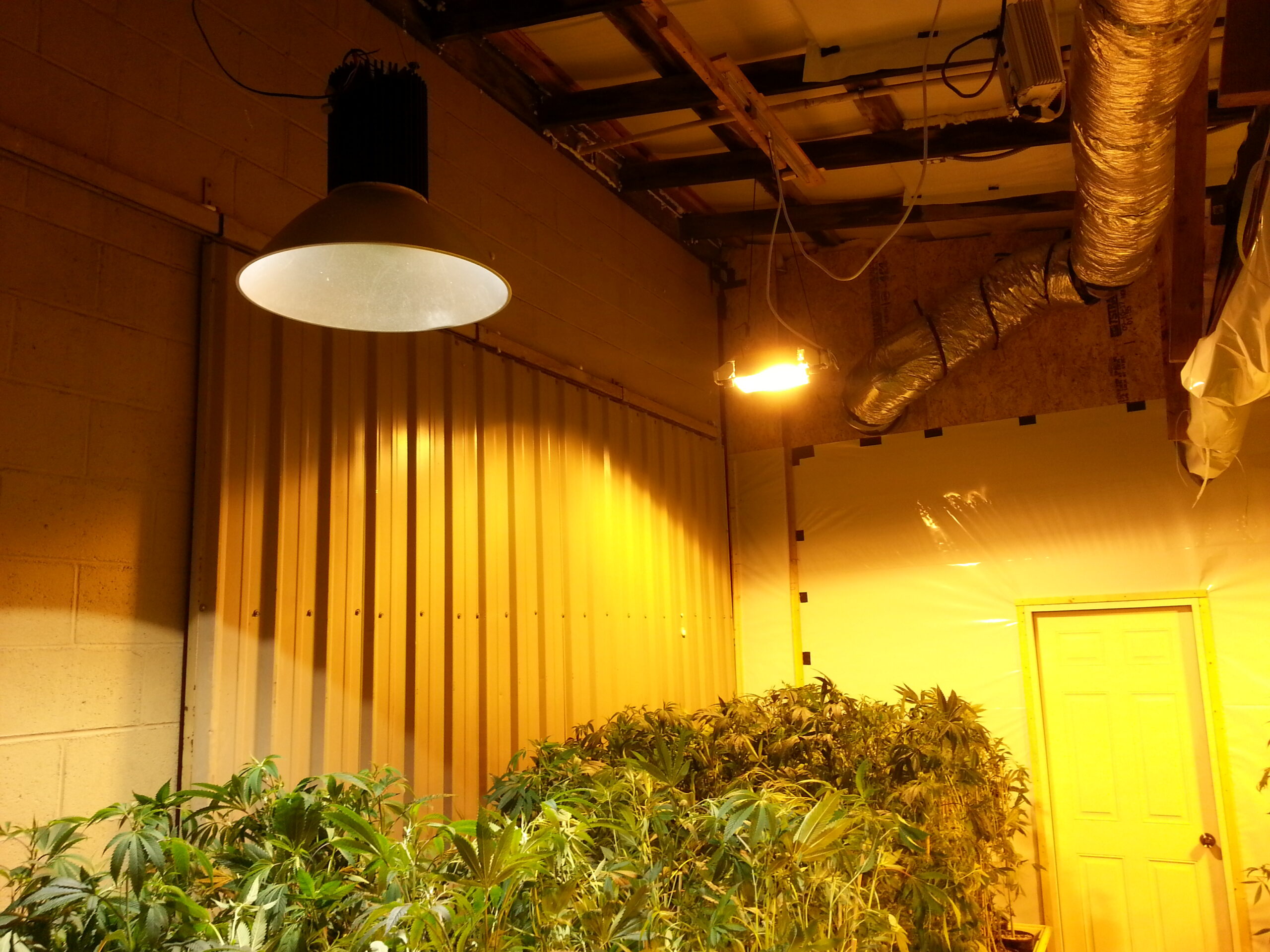 LED development
