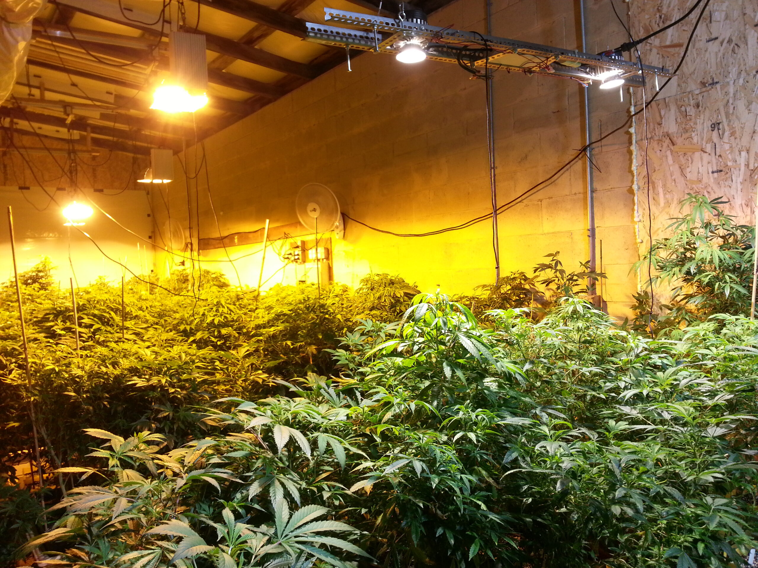 LED install