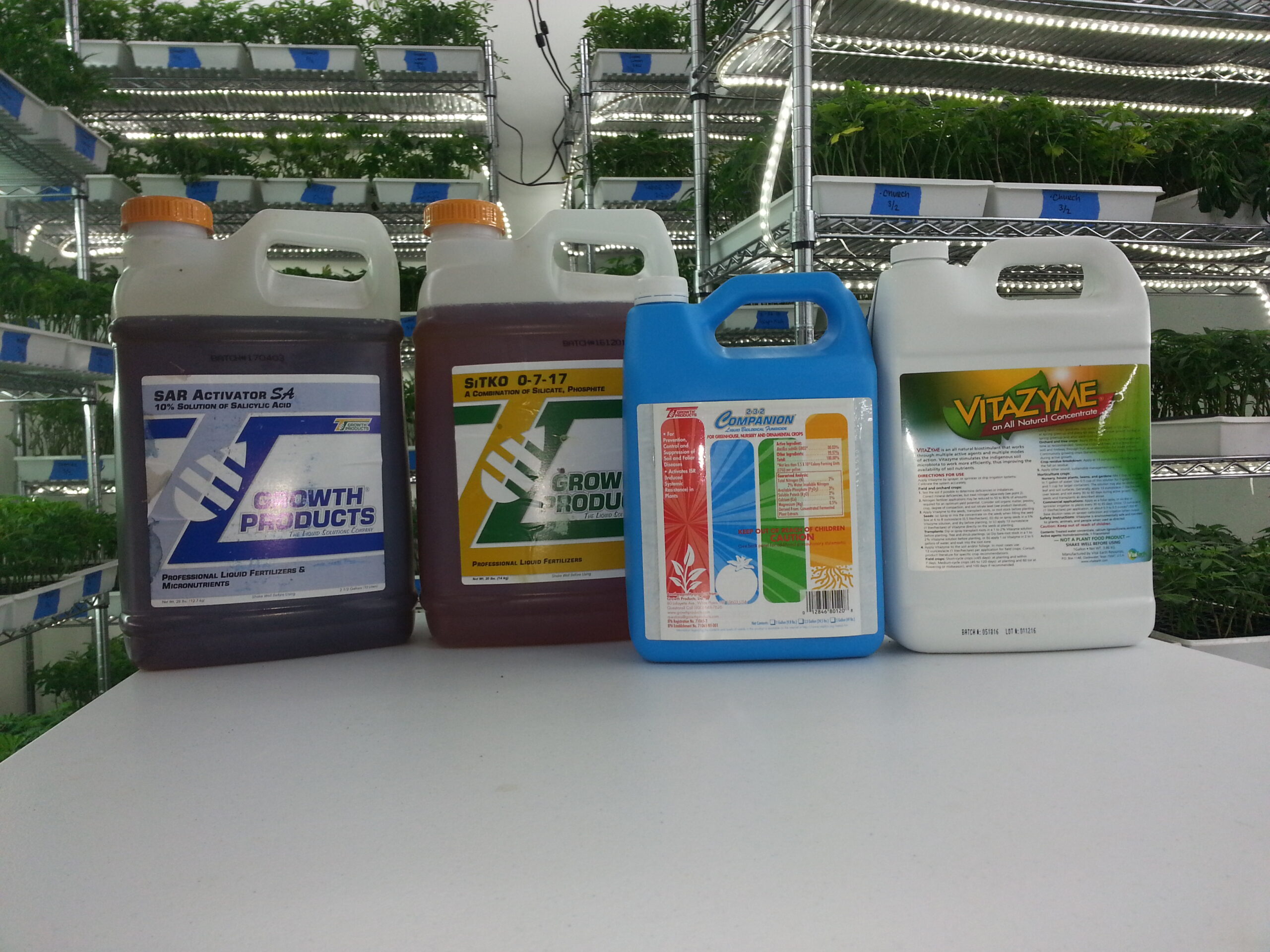 Product lineup in nursery