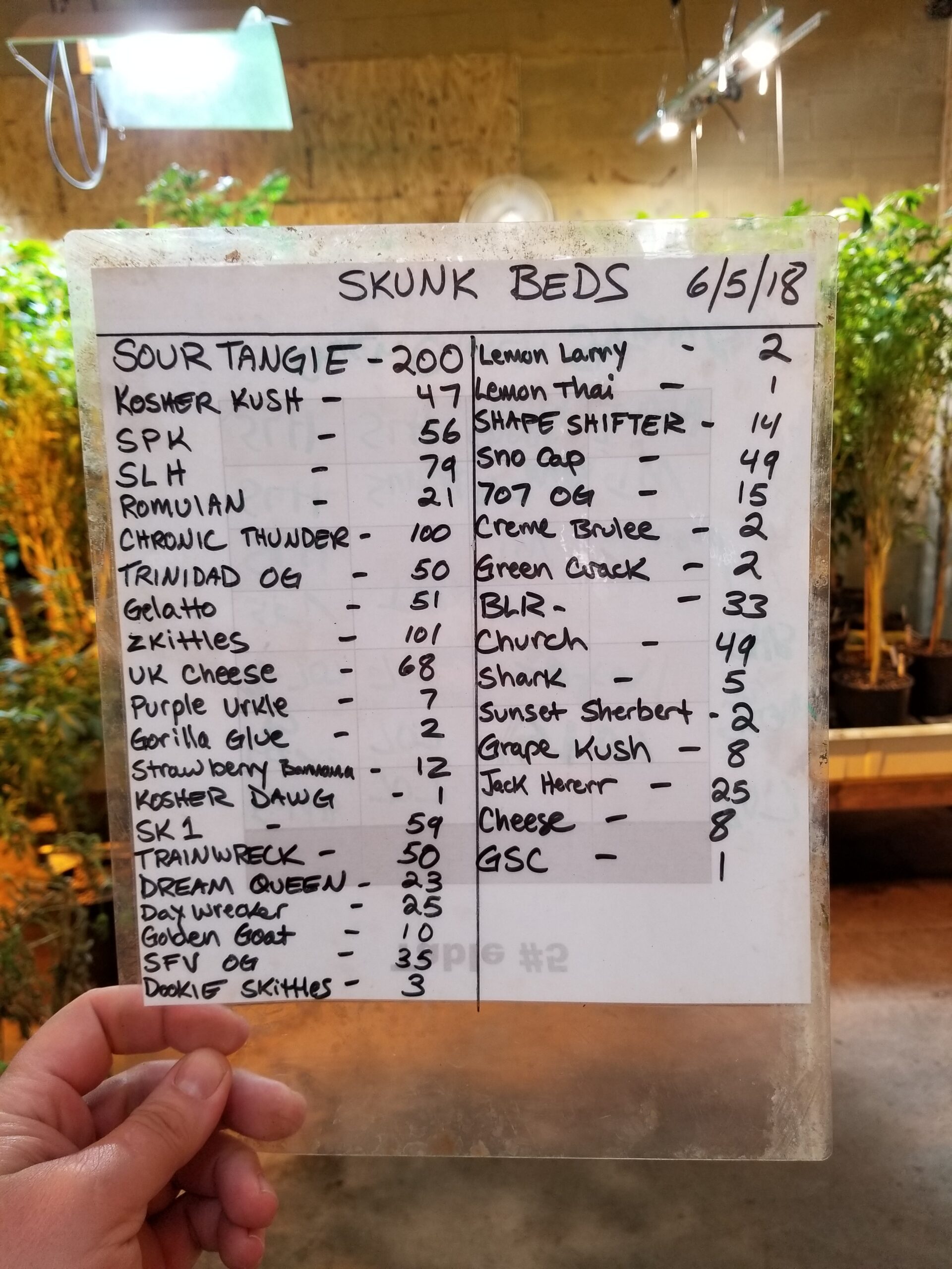 Humboldt's Heirlooms — June 2018