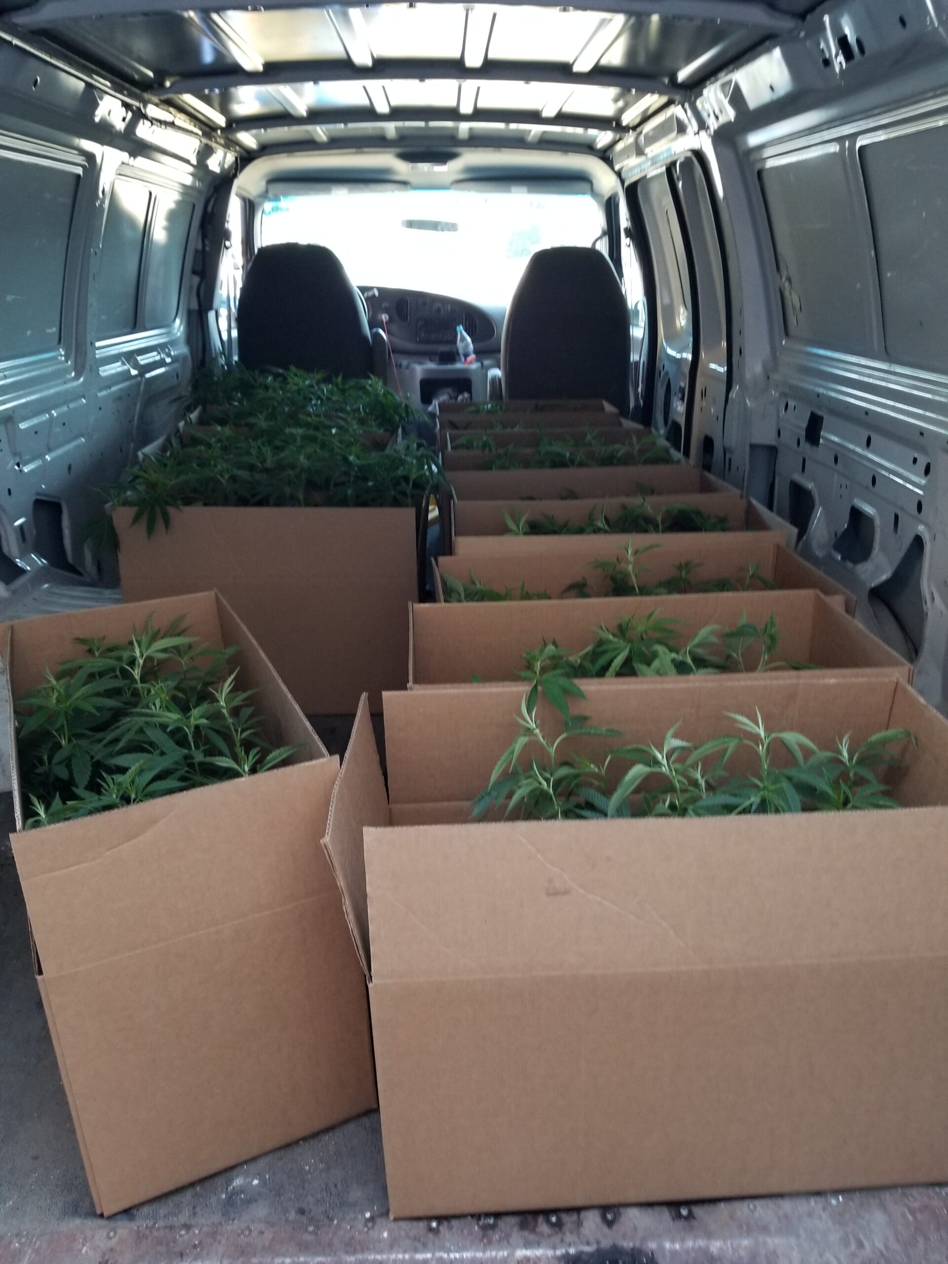 Delivery van
