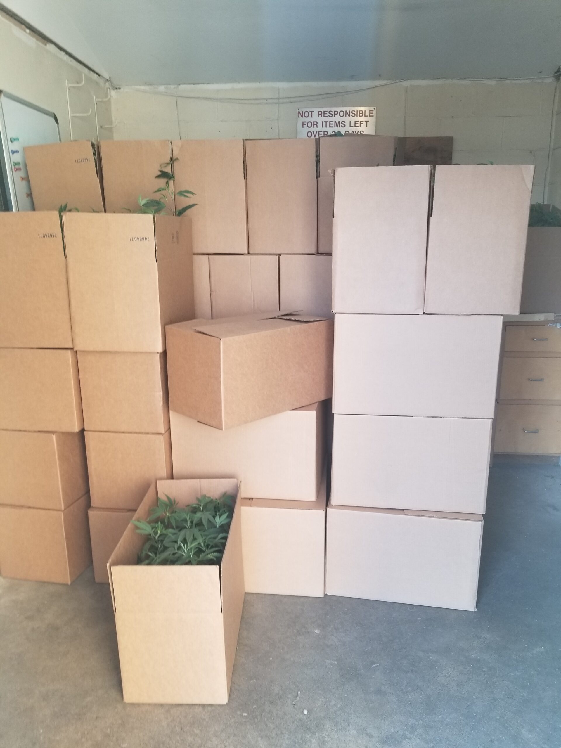 Clone boxes staged for delivery